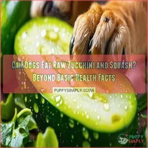 can dogs eat raw zucchini and squash