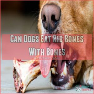 Can Dogs Eat Rib Bones With Bones