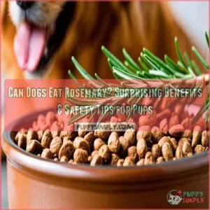 can dogs eat rosemary