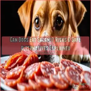 can dogs eat salami