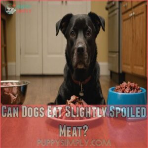 Can Dogs Eat Slightly Spoiled Meat