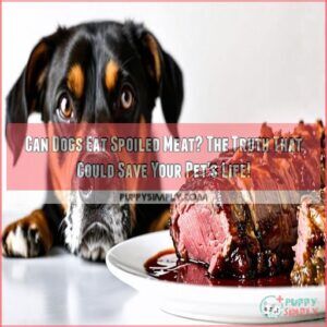 can dogs eat spoiled meat can dogs eat spoiled meat