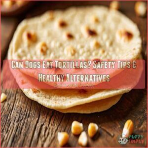 can dogs eat tortilla can dogs eat tortilla