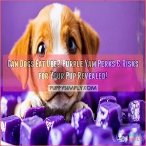 can dogs eat ube