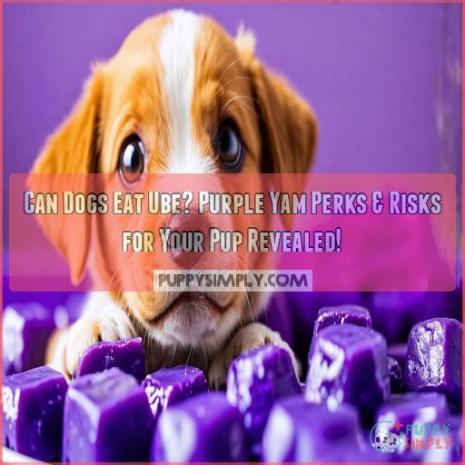 can dogs eat ube can dogs eat ube