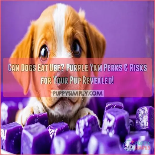 can dogs eat ube