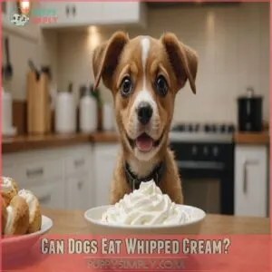 can dogs eat whipped cream