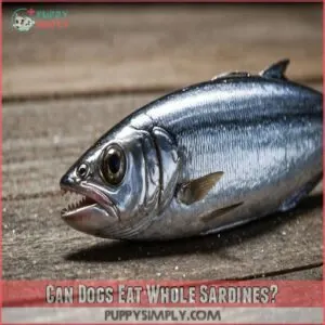 Can Dogs Eat Whole Sardines