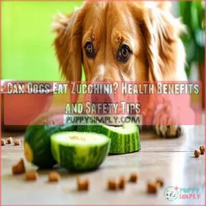 can dogs eat zucchini