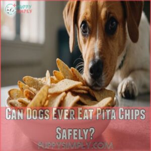 Can Dogs Ever Eat Pita Chips Safely