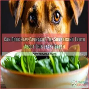 can dogs have spinach