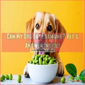 can my dog eat edamame