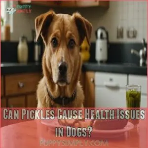 Can Pickles Cause Health Issues in Dogs