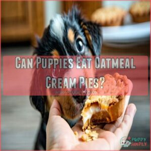 Can Puppies Eat Oatmeal Cream Pies