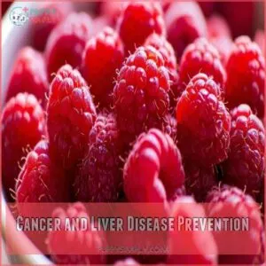 Cancer and Liver Disease Prevention