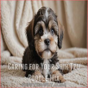 Caring for Your Shih Tzu Poodle Mix