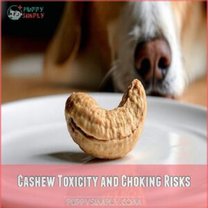 Cashew Toxicity and Choking Risks