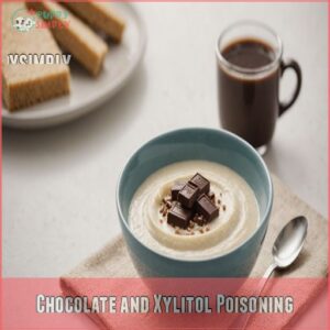 Chocolate and Xylitol Poisoning