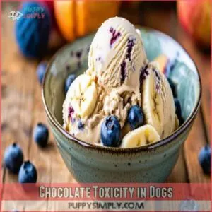 Chocolate Toxicity in Dogs