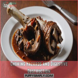 Choking Hazards and Digestive Obstruction