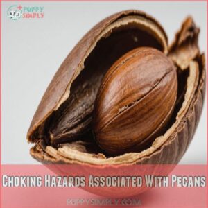 Choking Hazards Associated With Pecans