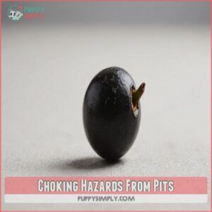 Choking Hazards From Pits Choking Hazards From Pits