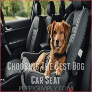 Choosing The Best Dog Car Seat