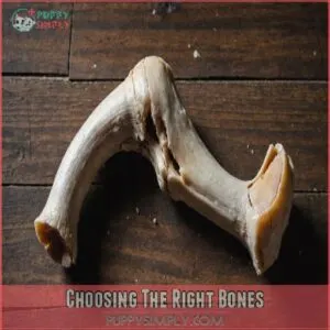 Choosing The Right Bones