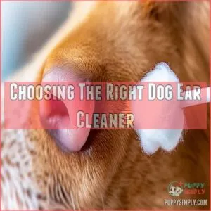 Choosing The Right Dog Ear Cleaner