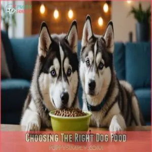 Choosing The Right Dog Food