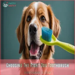 Choosing The Right Dog Toothbrush