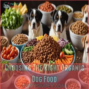 Choosing The Right Organic Dog Food