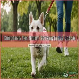 Choosing The Right Retractable Leash