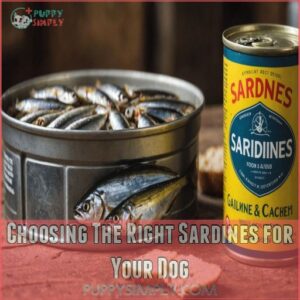 Choosing The Right Sardines for Your Dog