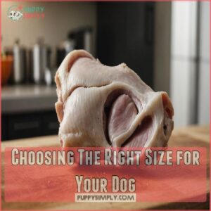 Choosing The Right Size for Your Dog