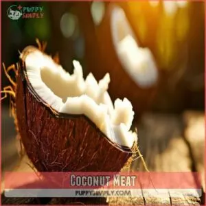 Coconut Meat