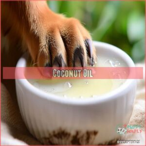 Coconut Oil