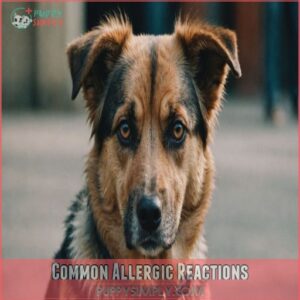 Common Allergic Reactions