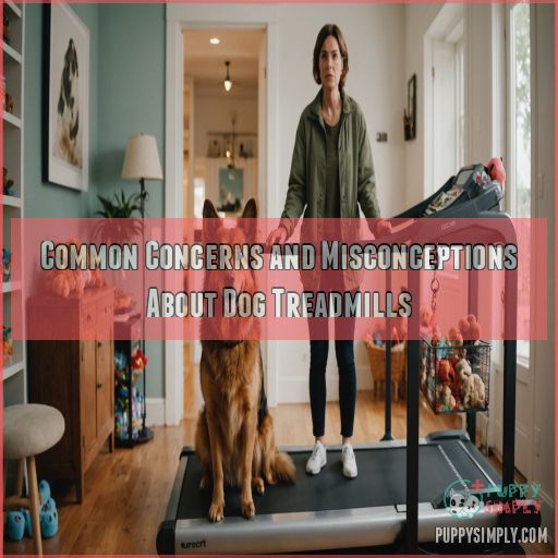 Common Concerns and Misconceptions About Dog Treadmills