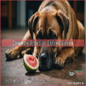 Common Risks of Eating Guava