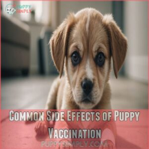 Common Side Effects of Puppy Vaccination