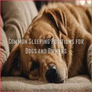 Common Sleeping Positions for Dogs and Owners