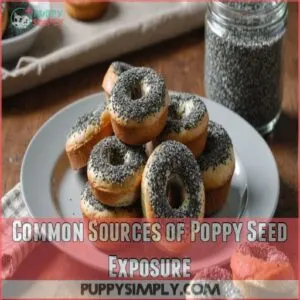 Common Sources of Poppy Seed Exposure