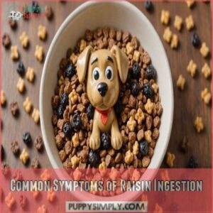 Common Symptoms of Raisin Ingestion