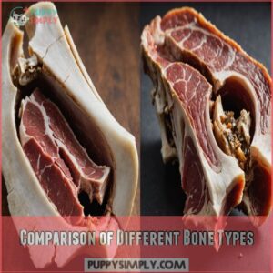 Comparison of Different Bone Types