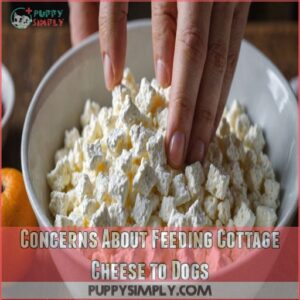 Concerns About Feeding Cottage Cheese to Dogs