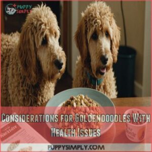 Considerations for Goldendoodles With Health Issues