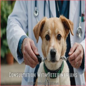 Consultation With Veterinarians