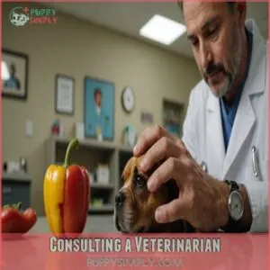 Consulting a Veterinarian