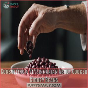 Consulting a Veterinarian About Cooked Kidney Beans